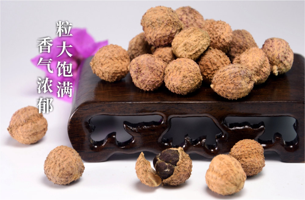 砂仁