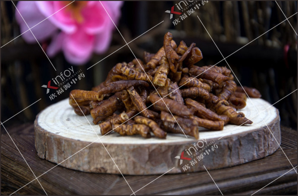 蜜遠(yuǎn)志